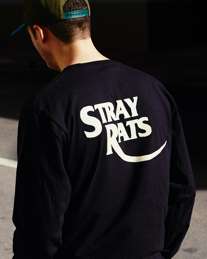 stray rats